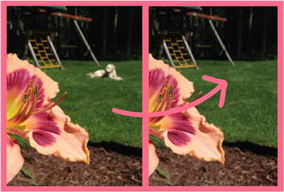 How to remove people or objects from the background of a photo using Adobe Photoshop.